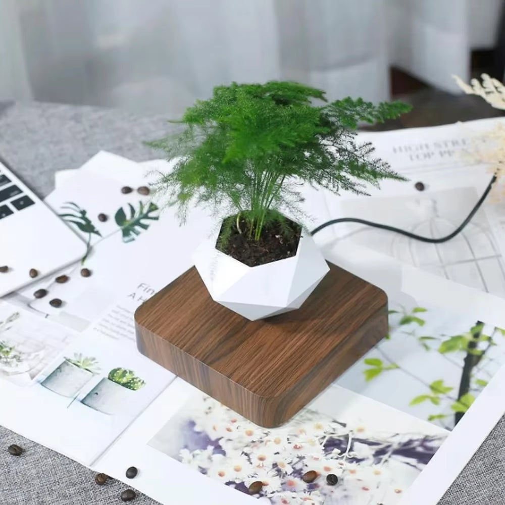 Levitating Air Bonsai Pot Rotation Flower Pot Planters Magnetic Suspension Floating Pot Potted Plant Home without Plants Rattan